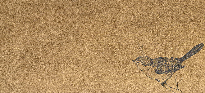 bird sketch thumbnail