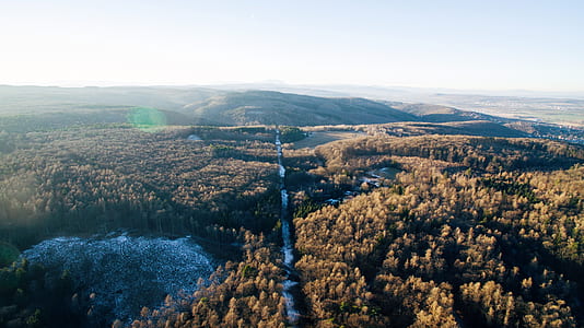 aerial photography of forest and mountain at daytime thumbnail