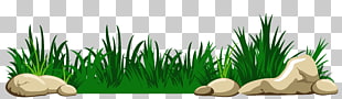 , Grass with Rocks Transparent , animated green grass PNG clipart
