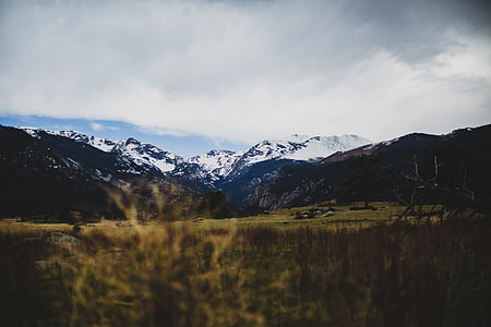 brown grass near mountain thumbnail