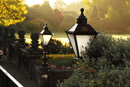 black lamp post near green plants thumbnail