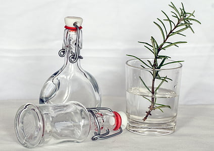 green leaf plant on clear drinking glass beside two clear glass bottle thumbnail