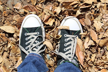 person stepping on brown dried leaves thumbnail