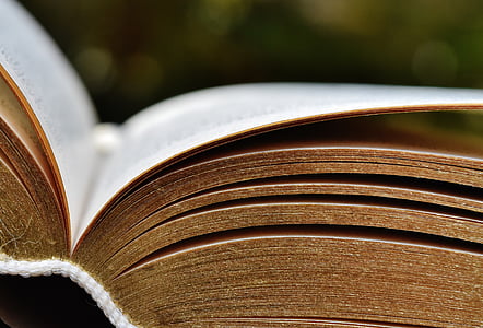 selective focus photography of opened book thumbnail