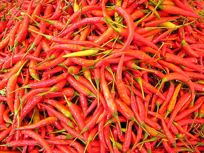red chili lot thumbnail