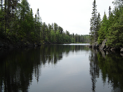 calm lake surrounded with trees at daytime thumbnail