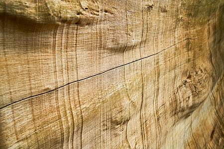 wood, texture, pattern, brown, macro, detail thumbnail