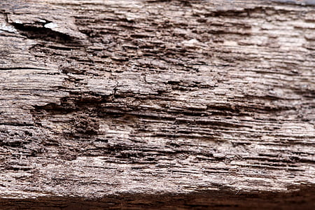 wood, texture, grain, wood texture, wooden texture, wooden thumbnail