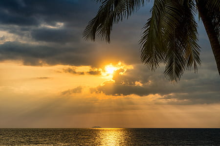 light, sea, dawn, landscape thumbnail