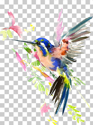 Hummingbird Watercolor painting Drawing, Hummingbird, painting of blue and pink bird PNG clipart