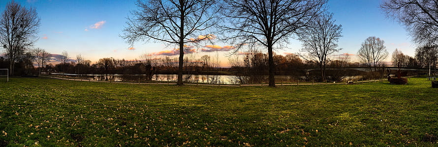 green grass field near body of water thumbnail