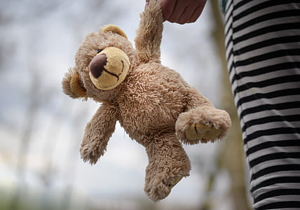 Closeup Photography of Brown Teddy Bear thumbnail