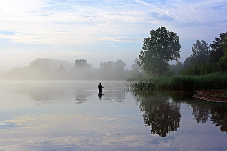 silhouette of man on body of water walking through green leaf tree thumbnail
