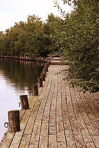 trees near dock thumbnail