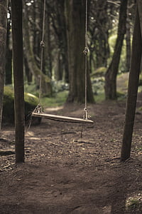 brown swing thumbnail