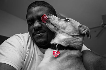 grayscale photography of dog licking man's face thumbnail