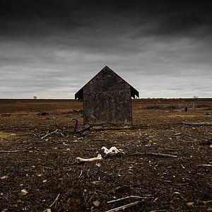 brown shack in field thumbnail