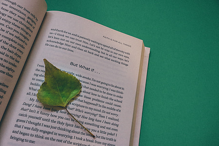 green leaf on book thumbnail