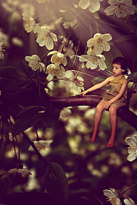 fairy perched on flower branch thumbnail