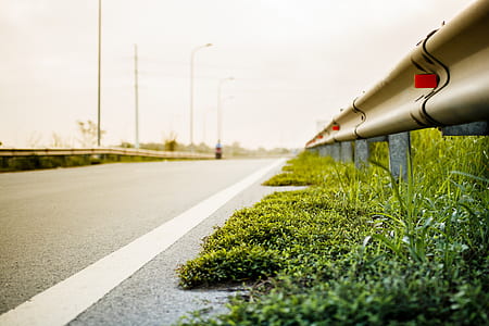 green grass beside fence thumbnail