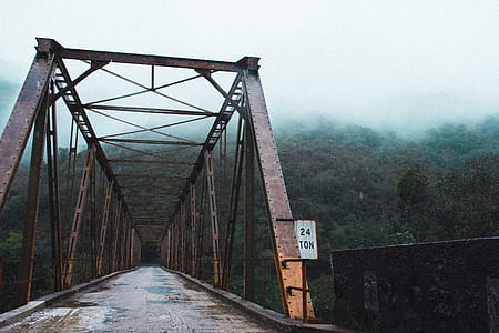 empty bridge through forest tunnel thumbnail