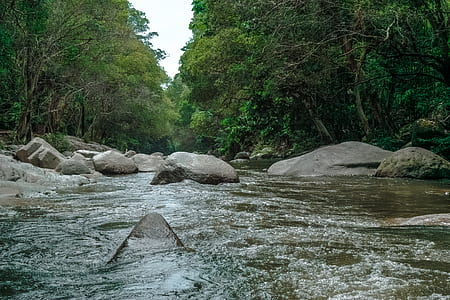 landscape, nature, water, rocks thumbnail