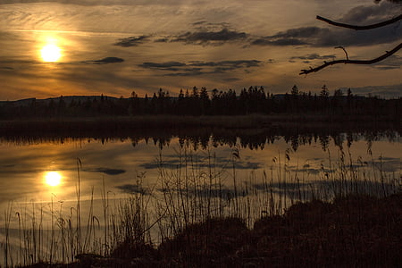 sun over pine forest near a lake thumbnail