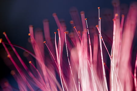 tilt shift photography of pink string thumbnail