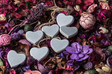 photo of heart decors on top of flowers thumbnail