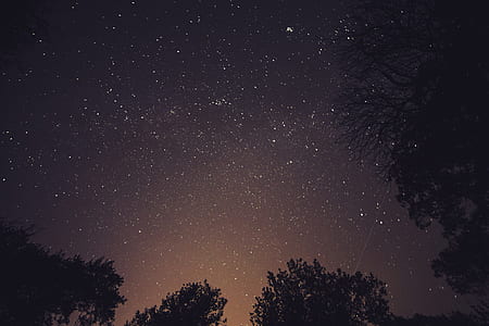 night, dark, galaxy, milky way thumbnail