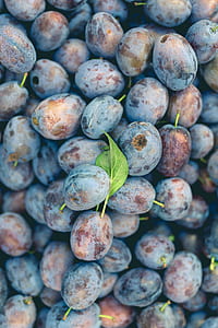 closeup photo of round purple fruits thumbnail