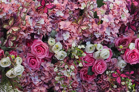 pink and white flowers thumbnail