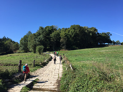 man walking on concrete path under blue sky during daytime thumbnail