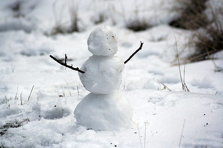 selective focus photography of snowman on ic thumbnail