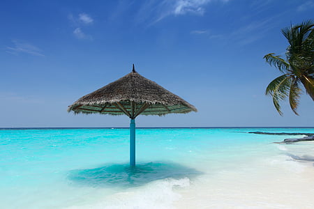 palm leaf patio umbrella on beach shore thumbnail