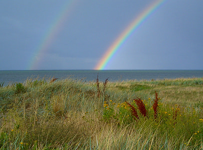 green field beside the sea and rainbow thumbnail