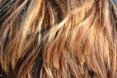 brown hair close-up photo thumbnail