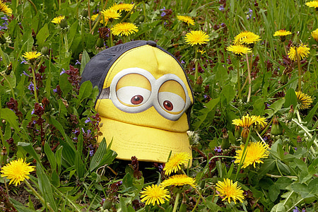 black and yellow Minion fitted cap on yellow flower field thumbnail