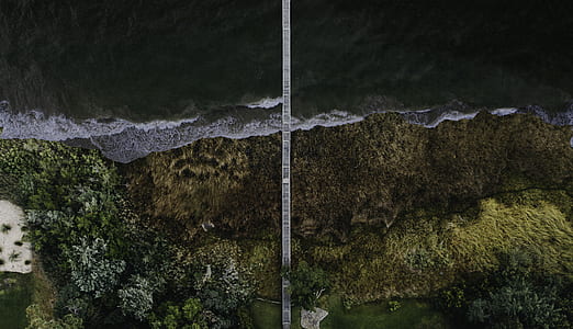 aerial photography of bridge thumbnail