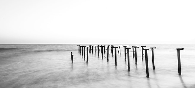 photography of brown woods near body of water thumbnail