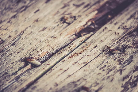 rustic, wood, texture thumbnail