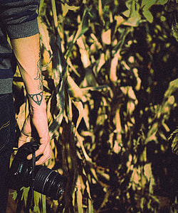 person holding DSLR camera standing near banana trees thumbnail