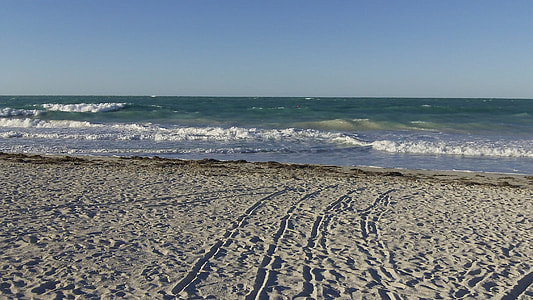 seashore under calming sky thumbnail