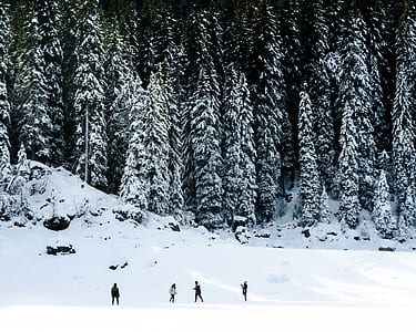 four people playing on snow field thumbnail