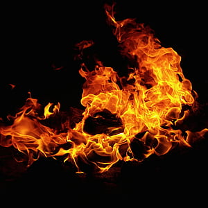 Photograph of a Burning Fire thumbnail