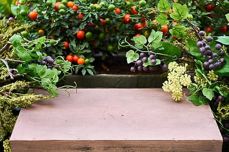 berries on wooden surface thumbnail
