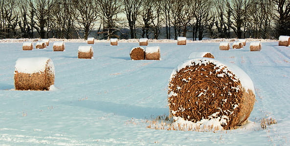 cold, snow, landscape, nature thumbnail