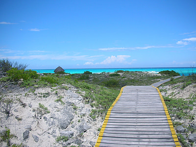 gray wooden pathway towards sea thumbnail