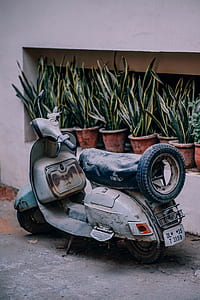 white and black motor scooter parked near snake plants thumbnail