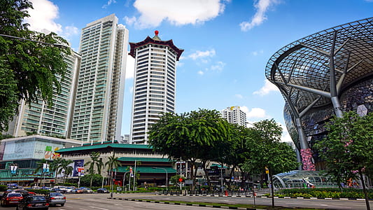 green trees near high-rise building thumbnail